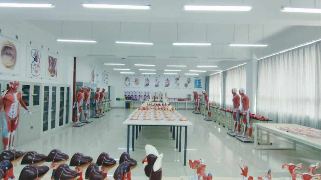 jinnianhui今年会特色专业 | 医学影像技术