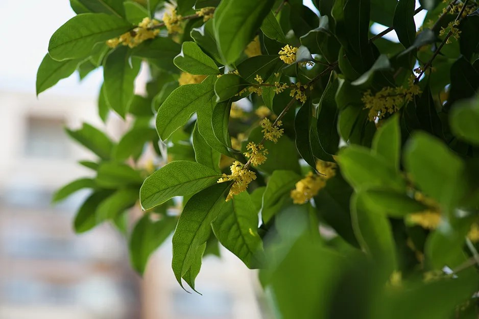 1728634702417031690.jpg 640 (13).jpg