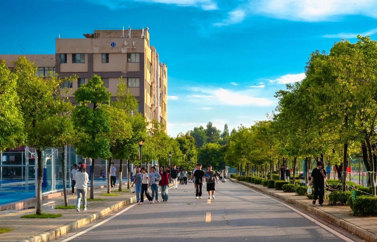 jinnianhui今年会在2025年云南省职业院校技能大赛中斩获佳绩